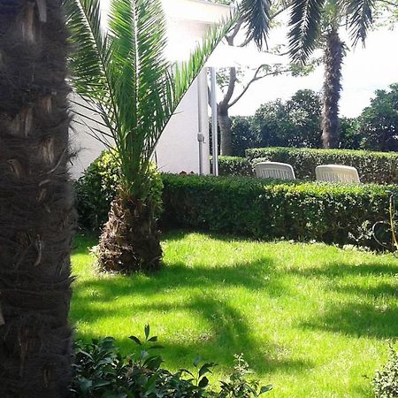 Villa Petar 2 - 10M From Sea Zadar Exterior photo